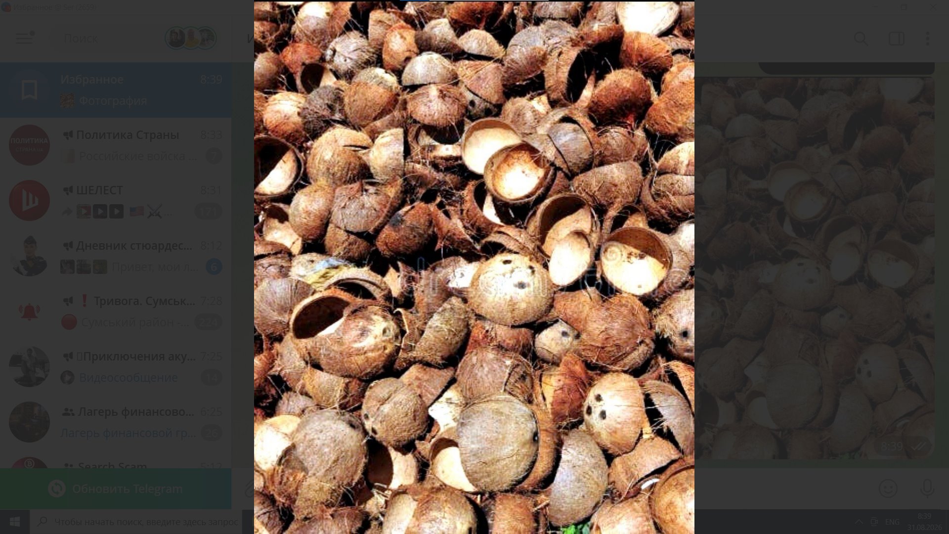 COCONUT SHELLS — RAW MATERIAL