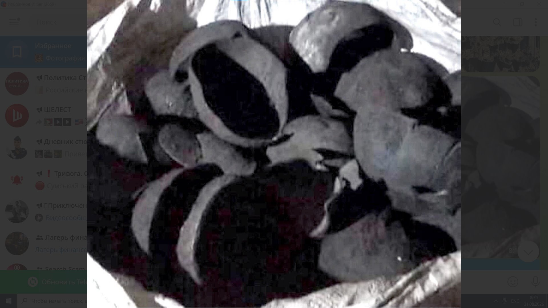 COCONUT SHELLS — CHARCOAL